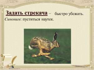 Дать стрекоча: Значение и символическое значение этого выражения в учительской работе