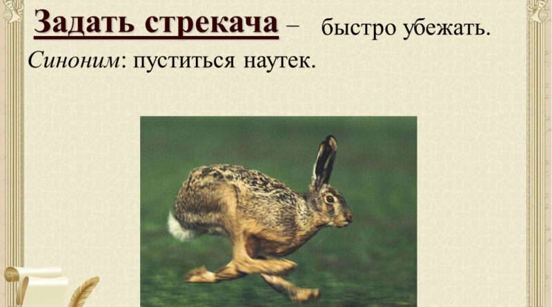 Дать стрекоча: Значение и символическое значение этого выражения в учительской работе. Смотреть фото Дать стрекоча: Значение и символическое значение этого выражения в учительской работе. Смотреть картинку Дать стрекоча: Значение и символическое значение этого выражения в учительской работе. Картинка про Дать стрекоча: Значение и символическое значение этого выражения в учительской работе. Фото Дать стрекоча: Значение и символическое значение этого выражения в учительской работе