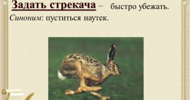 Дать стрекоча: Значение и символическое значение этого выражения в учительской работе. Смотреть фото Дать стрекоча: Значение и символическое значение этого выражения в учительской работе. Смотреть картинку Дать стрекоча: Значение и символическое значение этого выражения в учительской работе. Картинка про Дать стрекоча: Значение и символическое значение этого выражения в учительской работе. Фото Дать стрекоча: Значение и символическое значение этого выражения в учительской работе